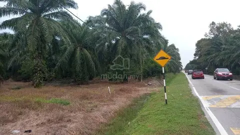 Jenjarom, Banting