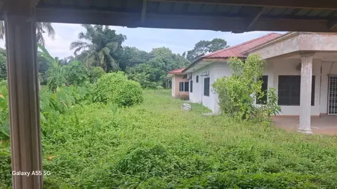 Chimes, Telok Panglima Garang